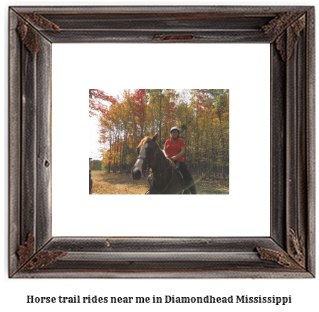 horse trail rides near me in Diamondhead, Mississippi